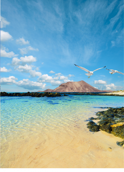 Vuelo + Hotel a Fuerteventura: Tu Paraíso Canario